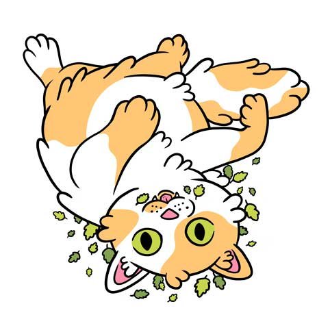 Kat's Nip Mascot